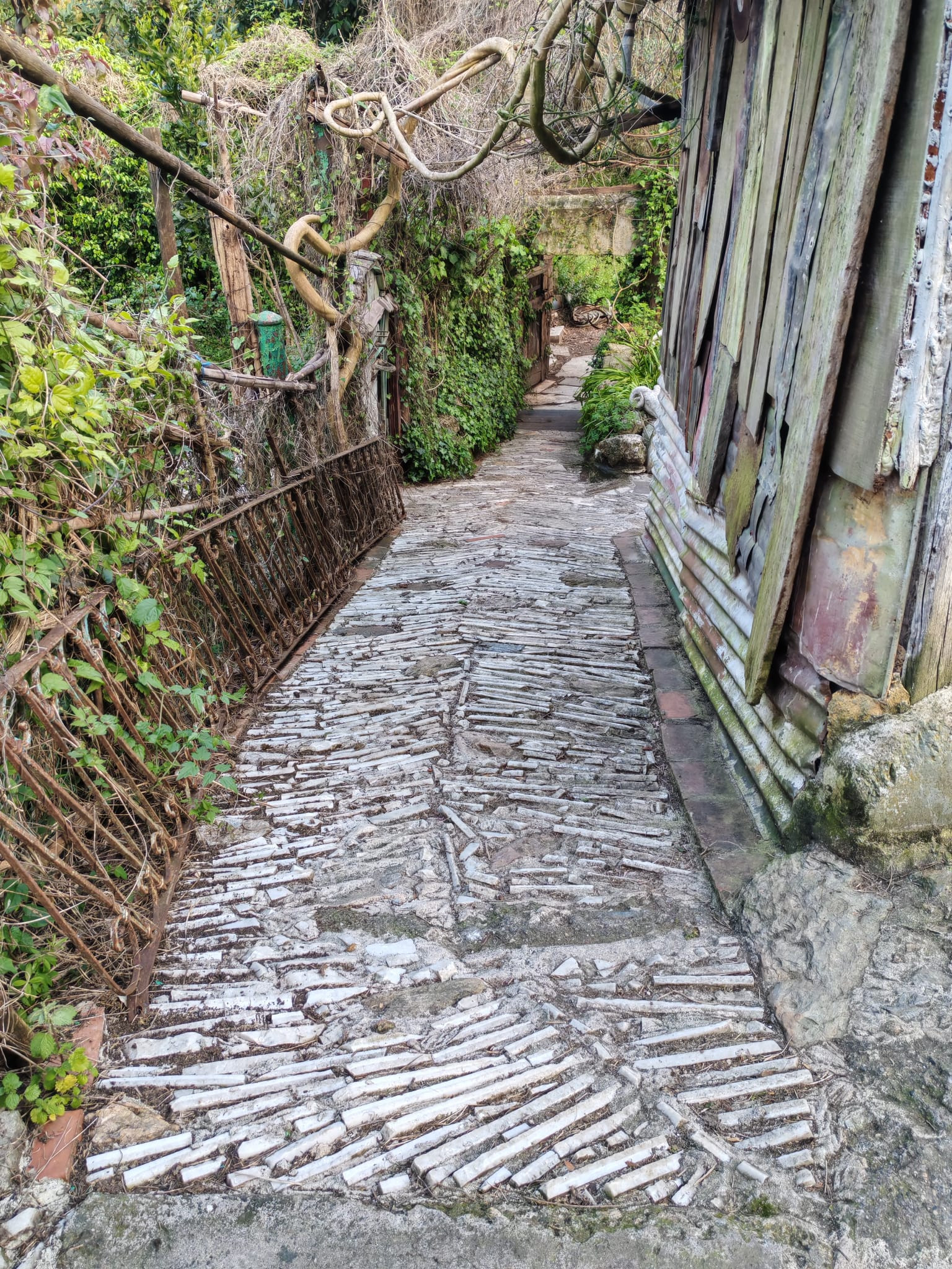 Textured path way outdoors leading down a slope surrounded by building and greenery