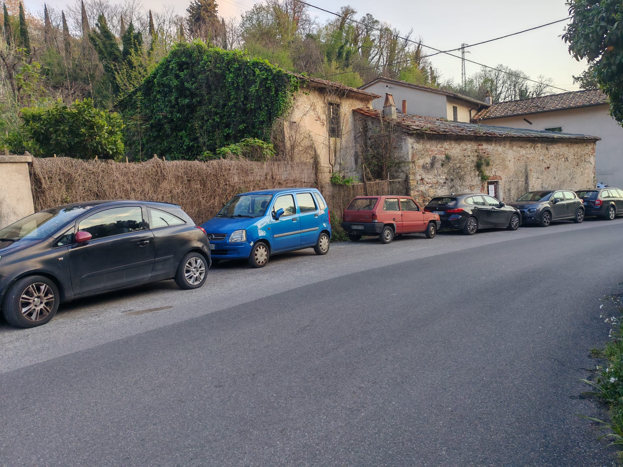 Street view of road with cars parked on it