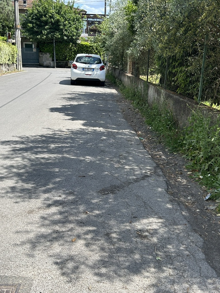 road with white car parked and lined with trees
