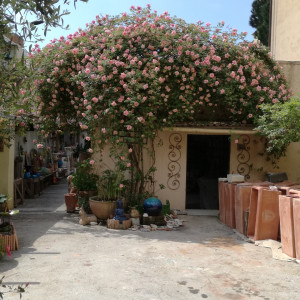 pink flowers covering entrance to stone ceramic workship.