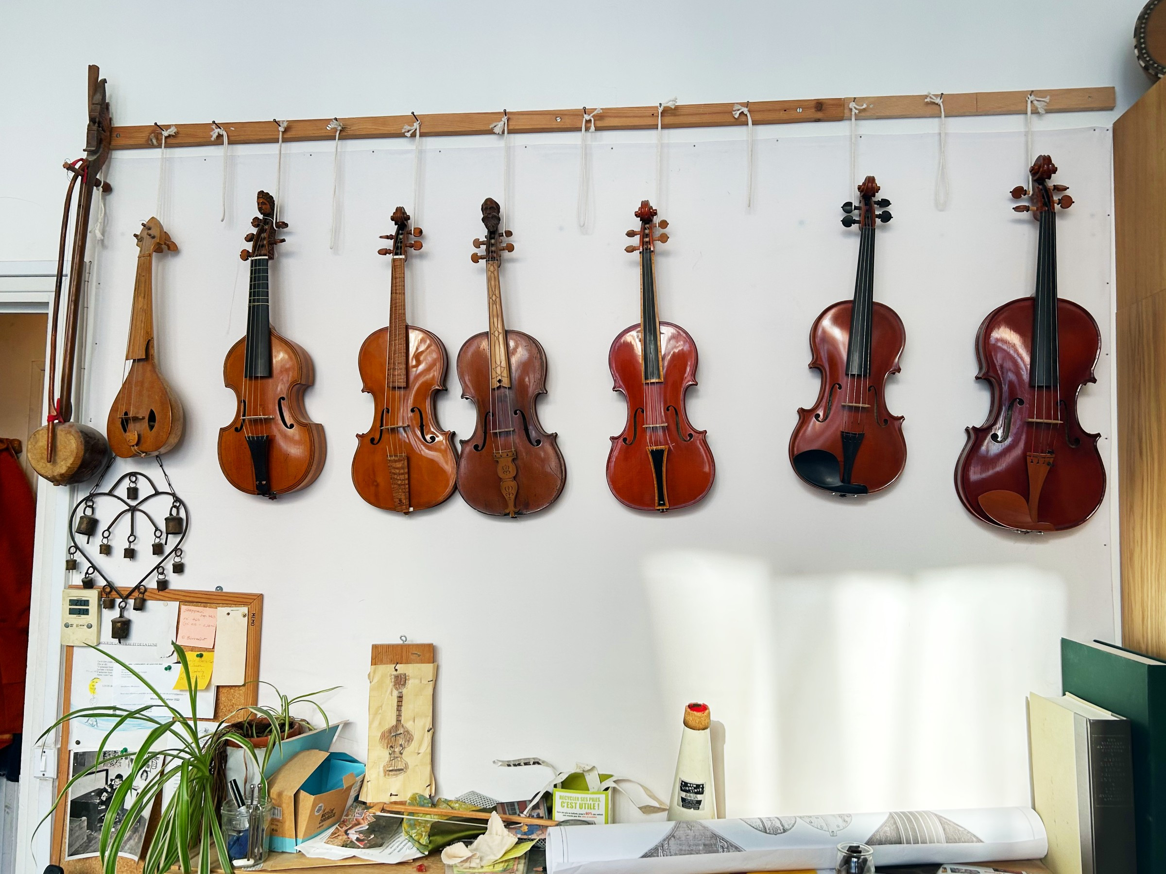 selection of stringed instruments